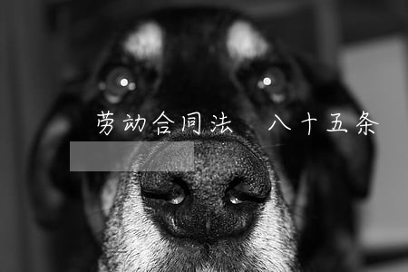 劳动合同法 八十五条 劳动合同法 八十五条